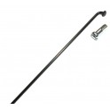 Raggi Neri 2 mm. 100 Pz.