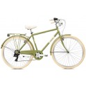 Bicicletta Uomo Ciclovia Style 7V. Verde