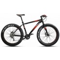 Bicicletta Fat Bike Vektor Disk