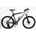 Bicicletta MTB Vektor Argox Disk
