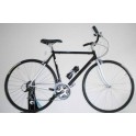 Bicicletta Sportiva Dedacciai 01