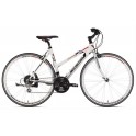 Bicicletta Bottecchia Donna Alta Velocità