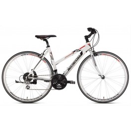 Bicicletta Bottecchia Donna Alta Velocità - ciclimazzoletti.it