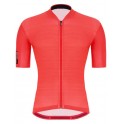 Maglia Santini Color Granatina