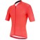 Maglia Santini Color Granatina