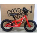 Bicicletta Pedagogica Senza Pedali