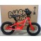 Bicicletta Pedagogica