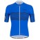 Maglia Santini Tono Profilo Royal