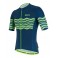 Maglia Santini Tono Profilo Verde